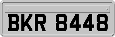 BKR8448