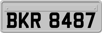 BKR8487
