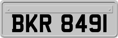 BKR8491