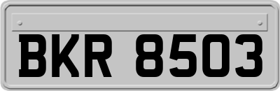 BKR8503
