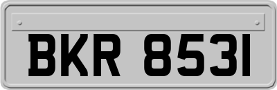 BKR8531