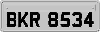 BKR8534
