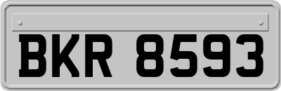 BKR8593