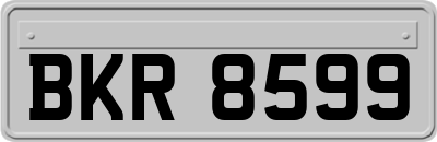 BKR8599