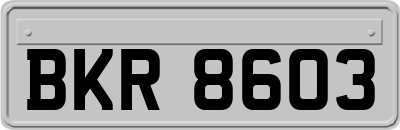 BKR8603