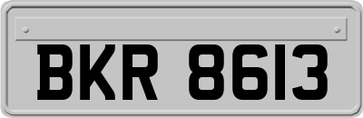 BKR8613