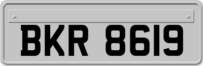 BKR8619