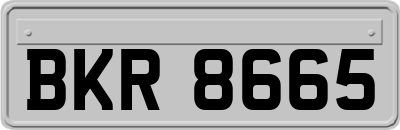 BKR8665