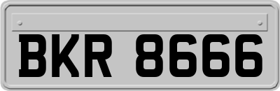BKR8666