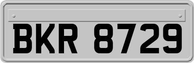 BKR8729