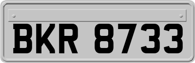 BKR8733