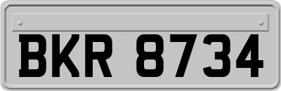 BKR8734
