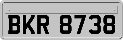 BKR8738