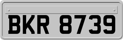 BKR8739