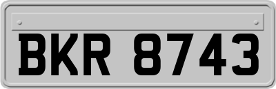 BKR8743