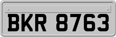 BKR8763