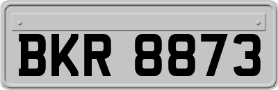 BKR8873