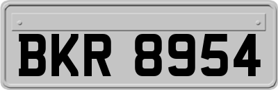 BKR8954