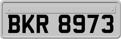 BKR8973