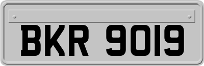 BKR9019