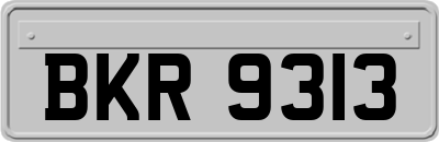 BKR9313