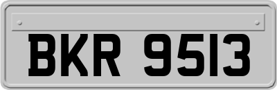 BKR9513