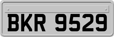 BKR9529