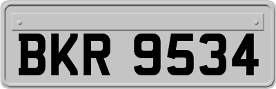 BKR9534