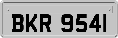 BKR9541