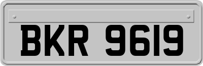 BKR9619