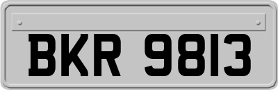 BKR9813