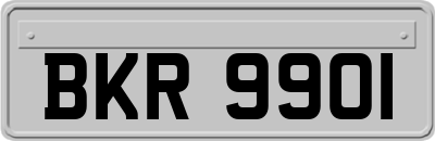 BKR9901