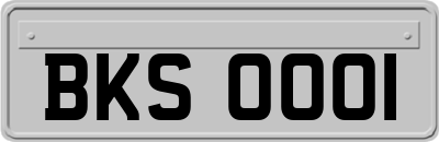 BKS0001