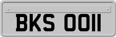 BKS0011