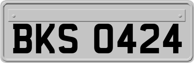 BKS0424