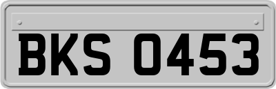 BKS0453