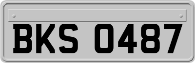 BKS0487