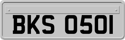 BKS0501