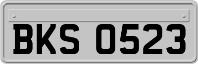 BKS0523