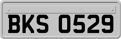 BKS0529