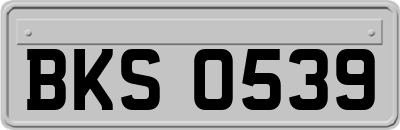 BKS0539