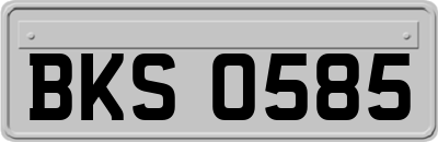 BKS0585
