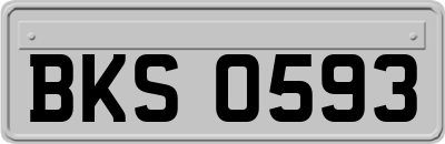 BKS0593