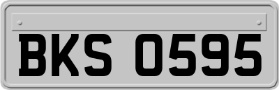 BKS0595