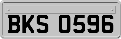BKS0596
