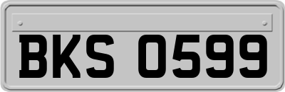BKS0599