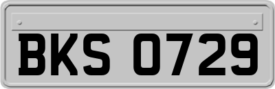 BKS0729