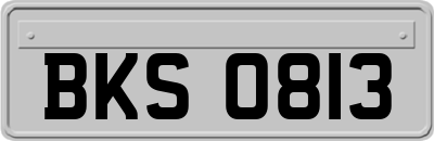 BKS0813