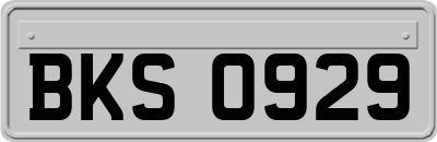 BKS0929
