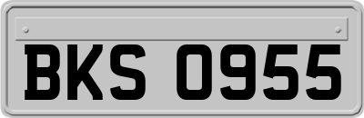 BKS0955